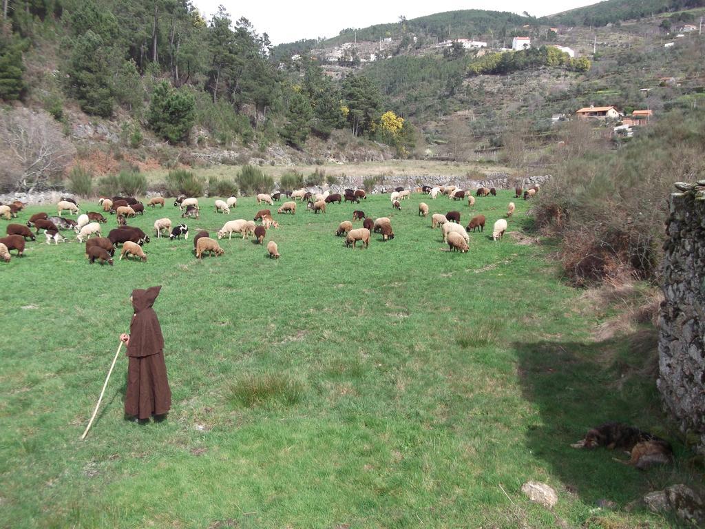 Casa Do Adro - Serra Da Estrela Cortes do Meio Екстер'єр фото